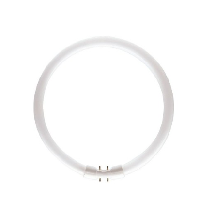 Bulk Hardware BH00664 Tube fluorescent circulaire 4 broches T9CL ⌀ 210 mm 22 W 